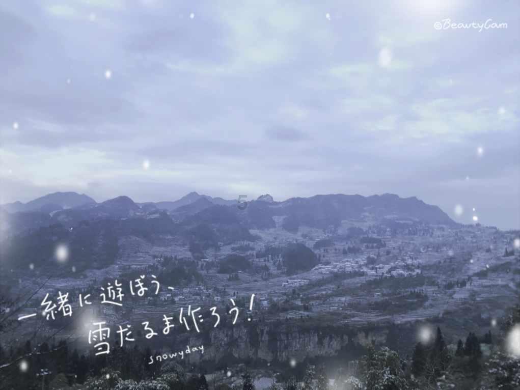 逃出蜜蜂岛