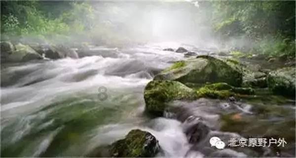 春雨直播app