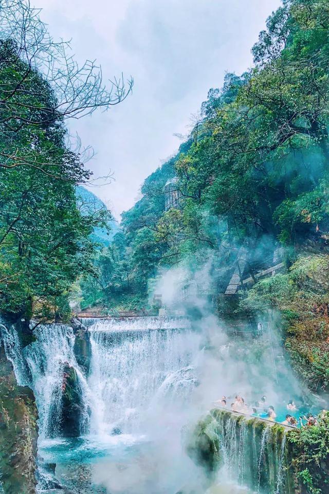 逃离野鸡森林
