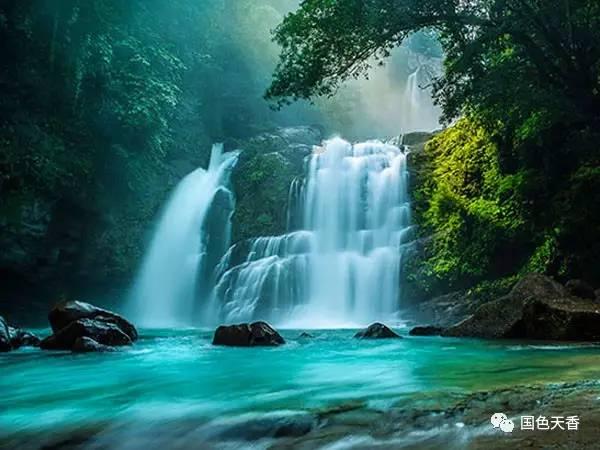 拯救小萌虎
