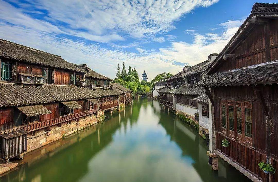 生化危机：浣熊市行动